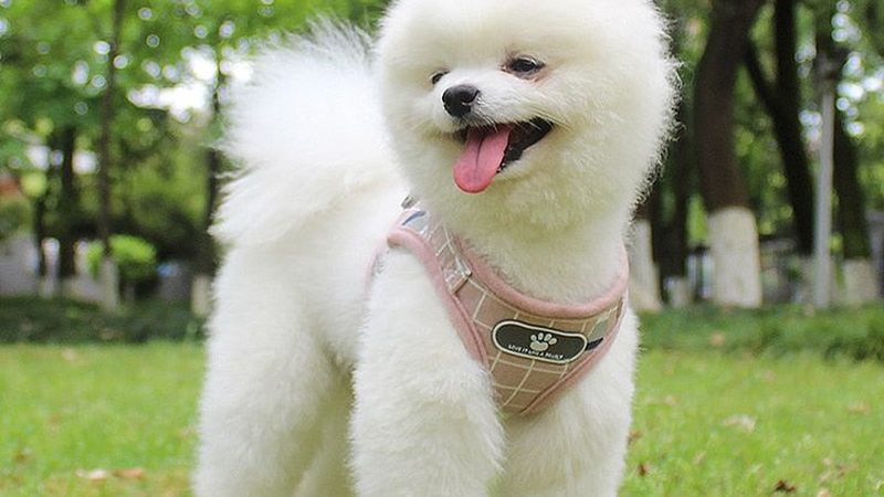气调库安装，如何选择合适的加盟公司？**